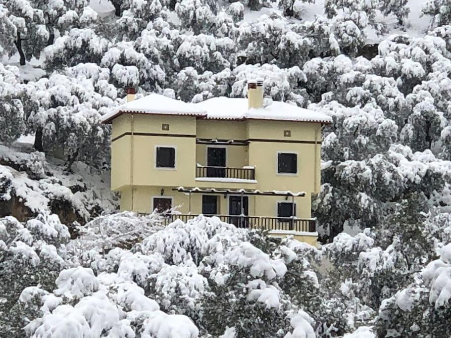 Pelion Mountain & Sea Villa - Private Studio Ano Gatzea Exterior photo