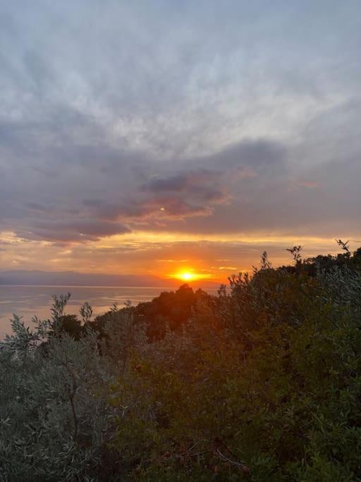 Pelion Mountain & Sea Villa - Private Studio Ano Gatzea Exterior photo