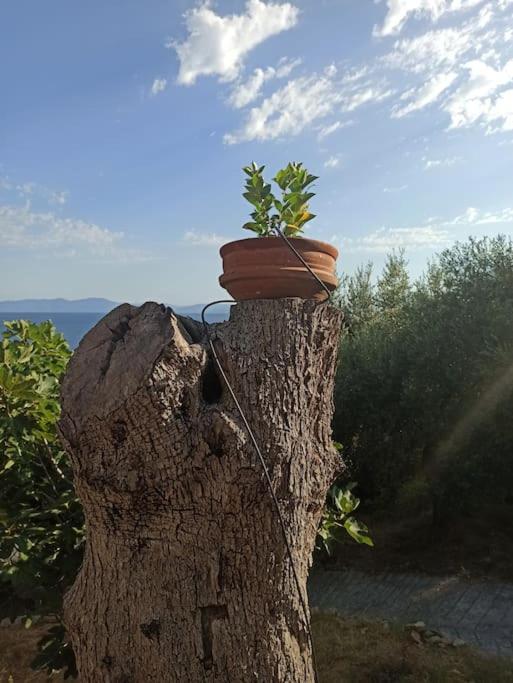 Pelion Mountain & Sea Villa - Private Studio Ano Gatzea Exterior photo